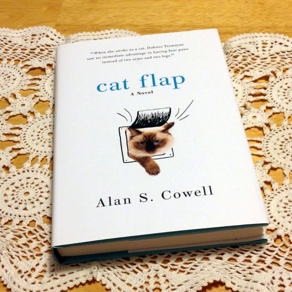 Cat Flap, fiction from a cat's view